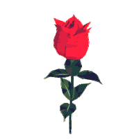 animated_rose